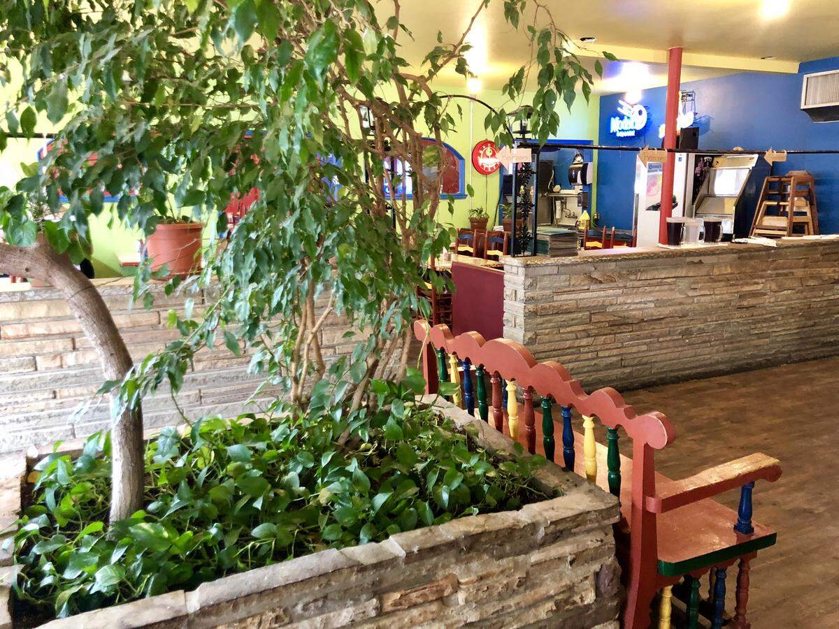 The fig tree growing in Benito’s is believed to be nearly 70 years old.