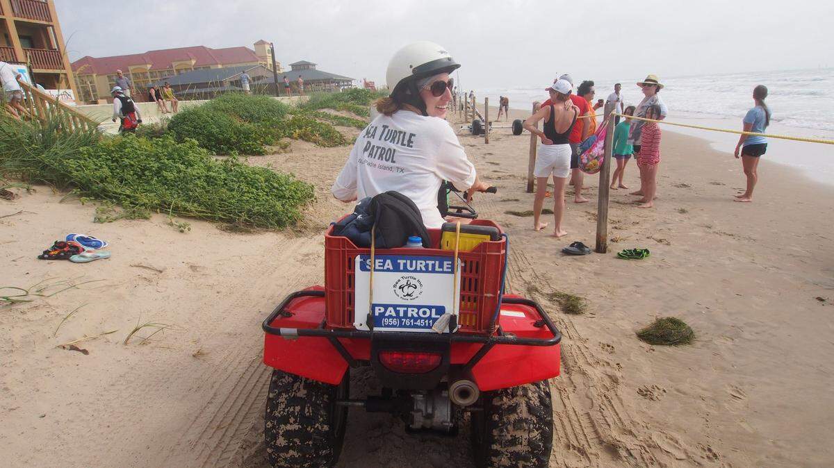 A volunteer from Sea Turtle Inc. uses an ATV to patrol the beach at South Padre Island. (Pam LeBlanc/Austin American-Statesman/TNS)