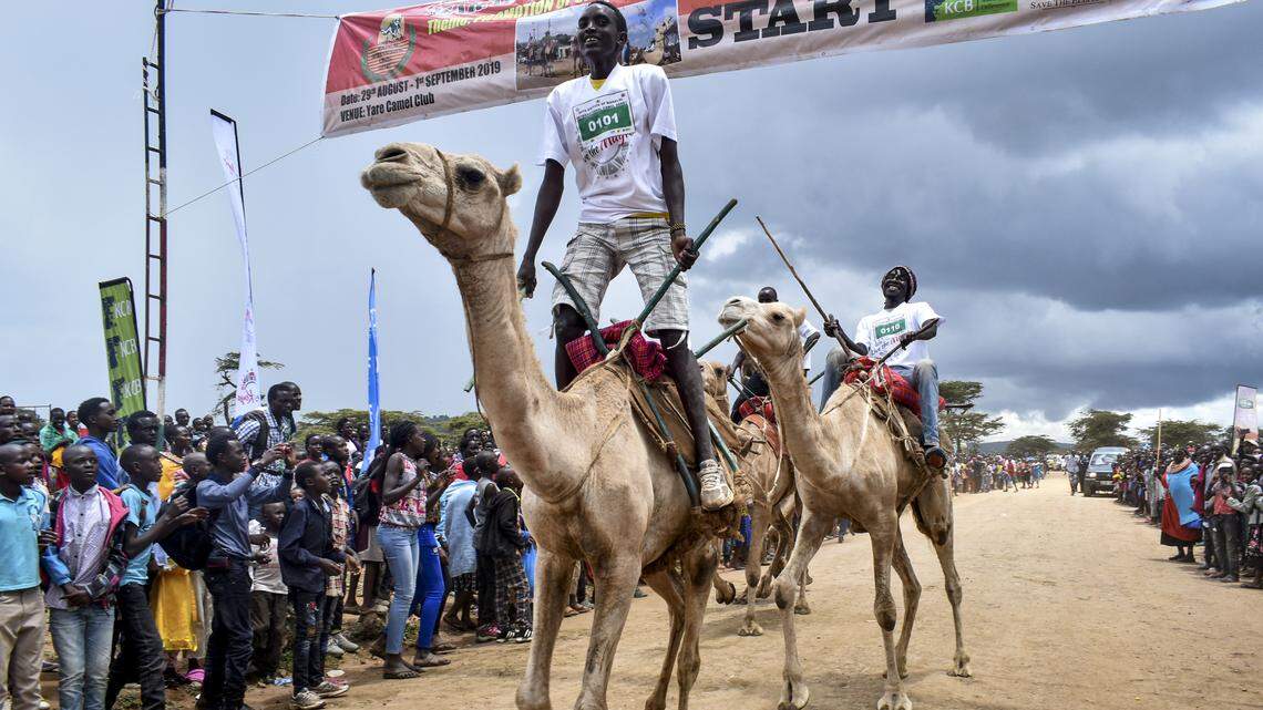 Thanks to coronavirus, sports bettors have shifted to camel racing and the weather