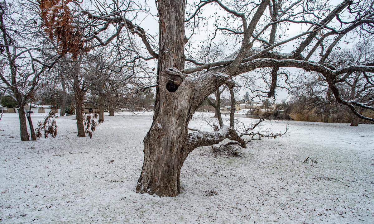 It was a winter wonderland around historic Granbury Square Monday morning, Jan. 15, 2024. Arctic cold air also brought a dusting of snow to the city center. The Hood County Courthouse is framed in the branches of a live oak along E. Rucker Street.