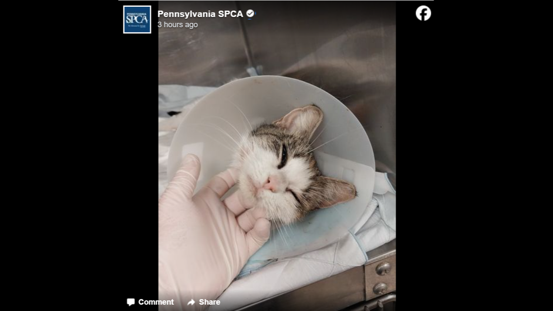 Kimiko getting some much needed love.