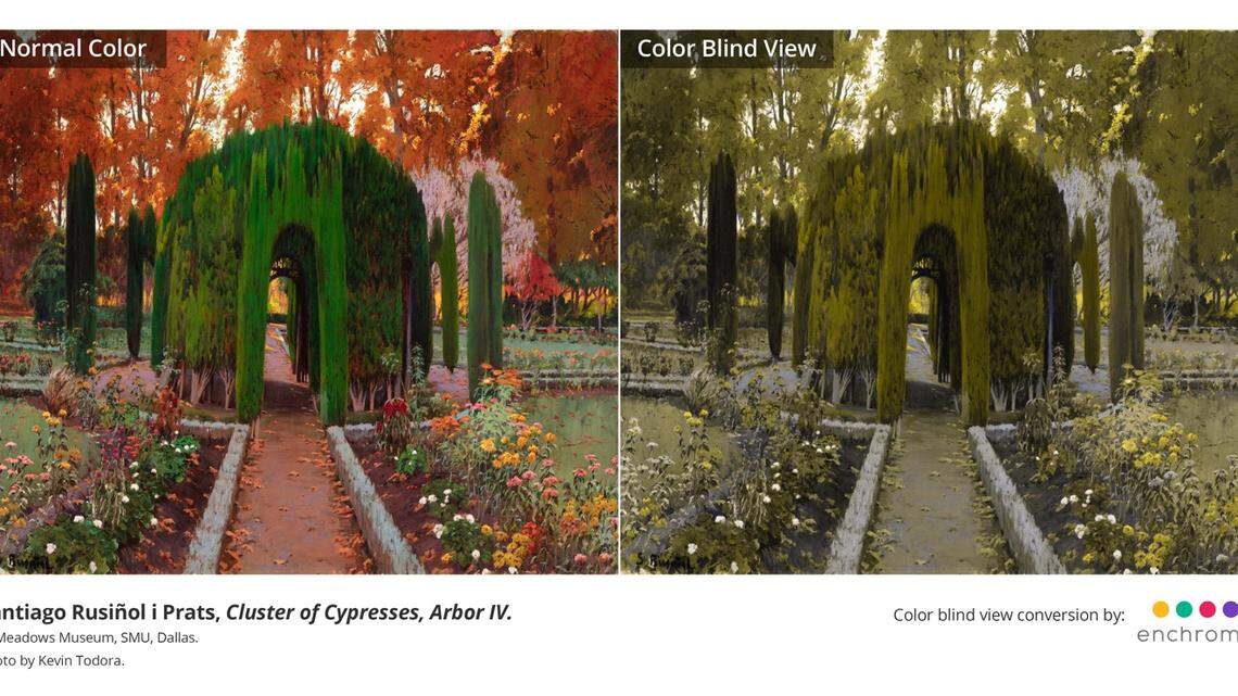 SMU’s museum, Meadows, is introducing EnChroma colorblind glasses to its tools to increase accessibility for visitors. The glasses help people with red-green color deficiency see a wider set of hues on the color spectrum.