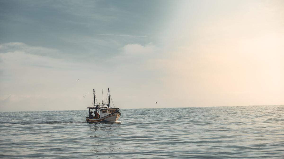 A boat captain hired to spread three people’s ashes offshore was arrested after the remains were found in his house, Galveston police said.