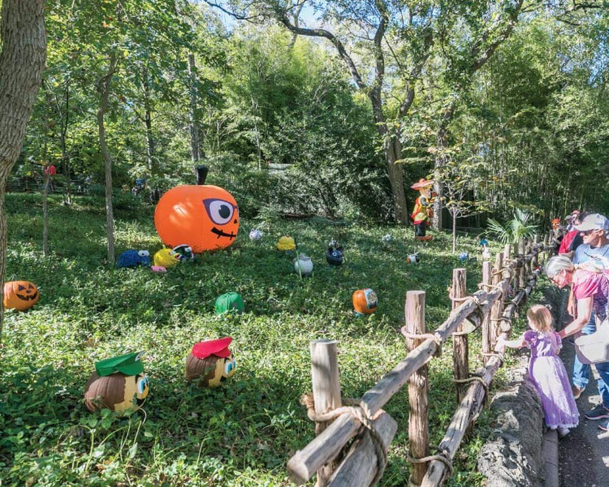 Boo at the Zoo is back for its 31st year at the Fort Worth Zoo Friday and Saturday. There will be treat stations, themed entertainment, animal shows and the pumpkin patch.