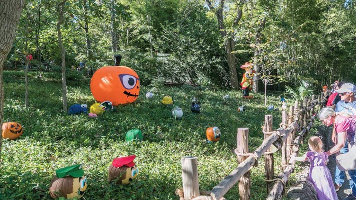 Boo at the Zoo is back for its 31st year at the Fort Worth Zoo Friday and Saturday. There will be treat stations, themed entertainment, animal shows and the pumpkin patch.