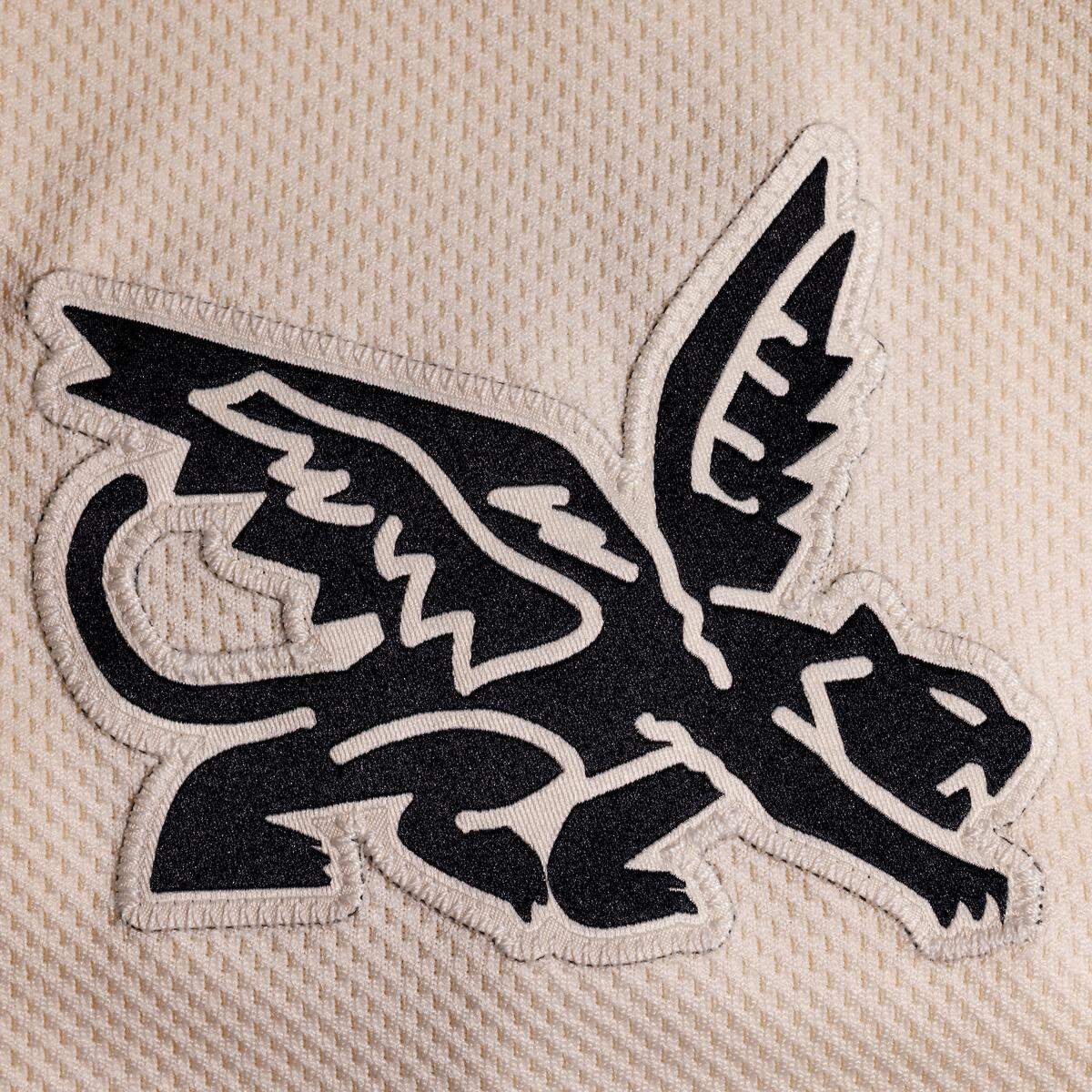 A photo of the “Peagle” a combination of the Fort Worth Cats and Dallas Eagles logos