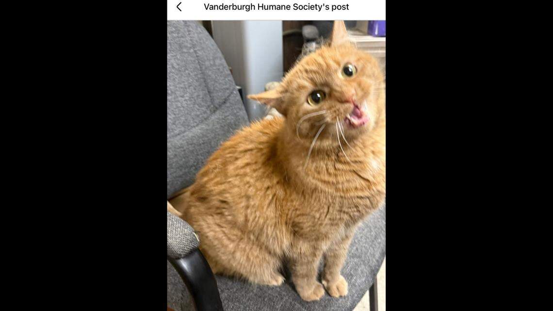 Booster wants people to know something: Stay out of his space bubble.