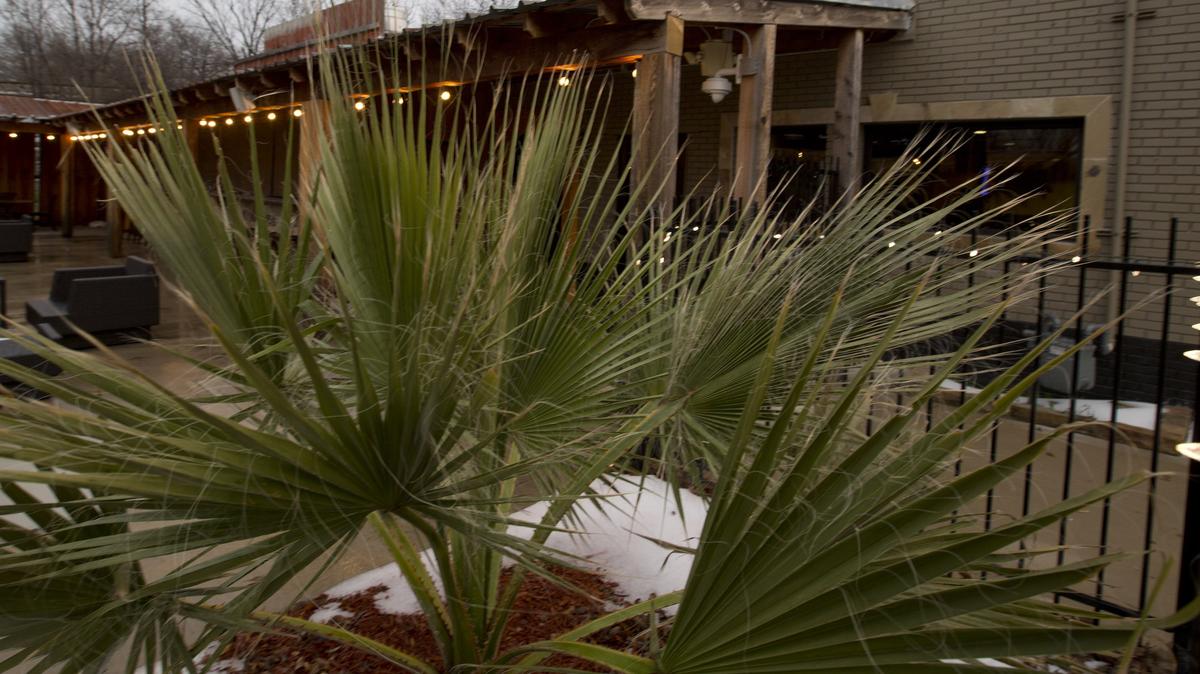 R.J. Gator’s Fort Worth in a December 2013 photo. The restaurant lasted nearly five years in a Trail Lake Drive location where two restaurants had failed previously.