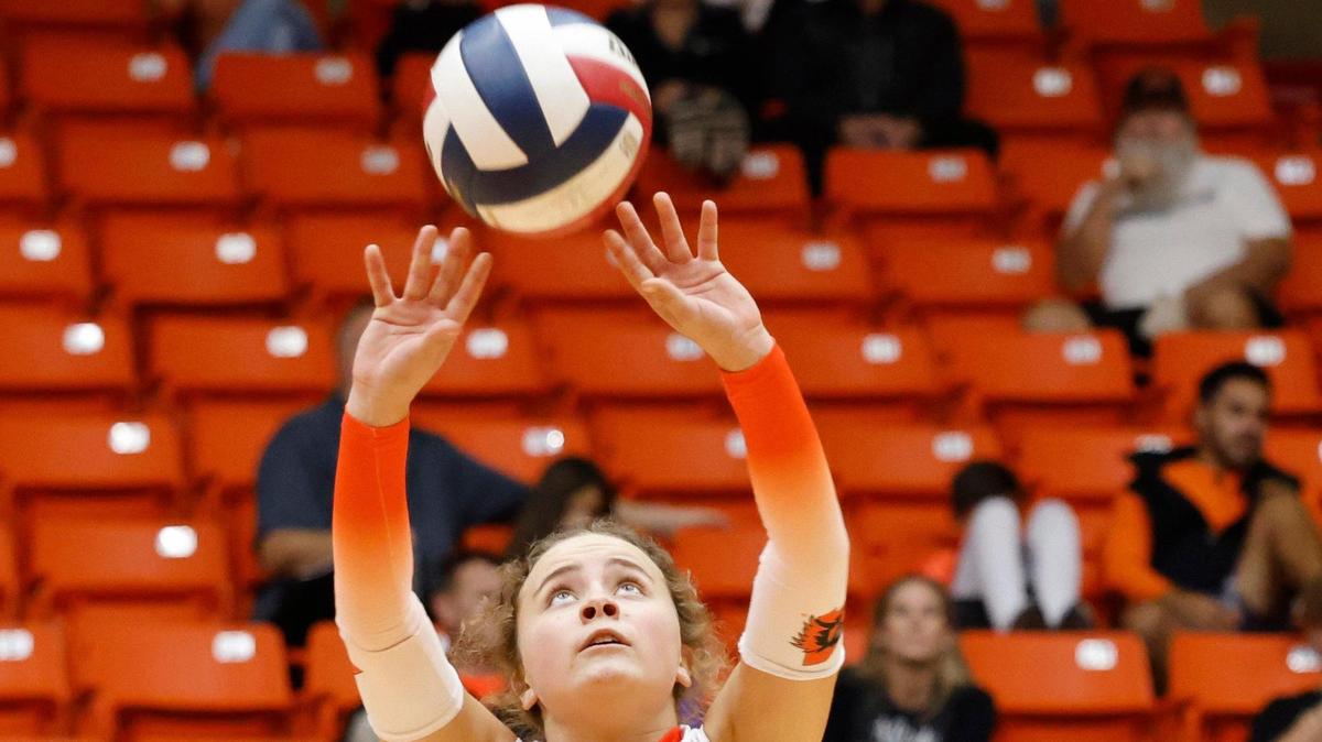 Aledo setter Sophie Frank and the Bearcats are set to play in the Class 5A D1 state semifinals.