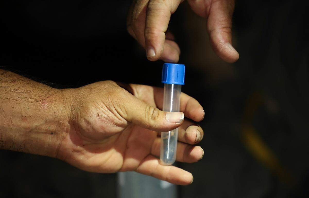 A hand reaches out towards another hand holding a test tube. A small piece of organic matter is in the test tube.