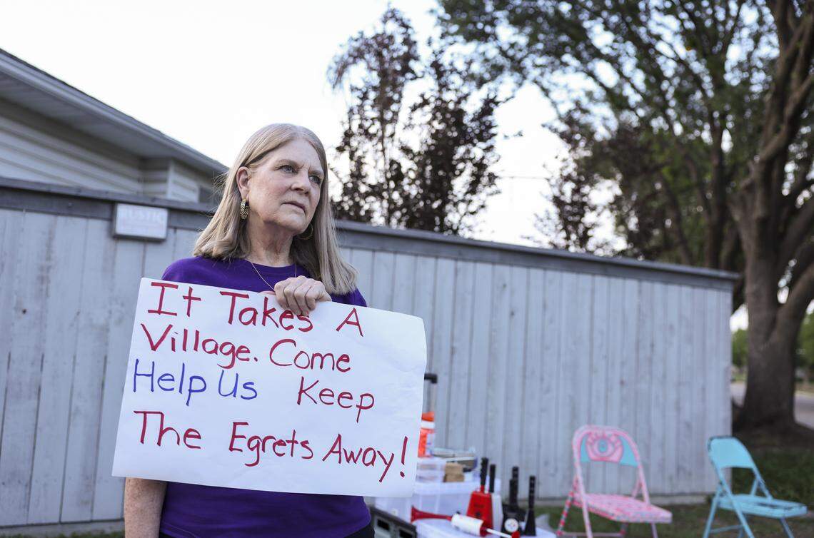Susan Kerns gathers with other residents, in a group known as the Park Glen Egret Busters, to deter the birds from nesting in their neighborhood on Thursday, April 16, 2026 in Fort Worth. 