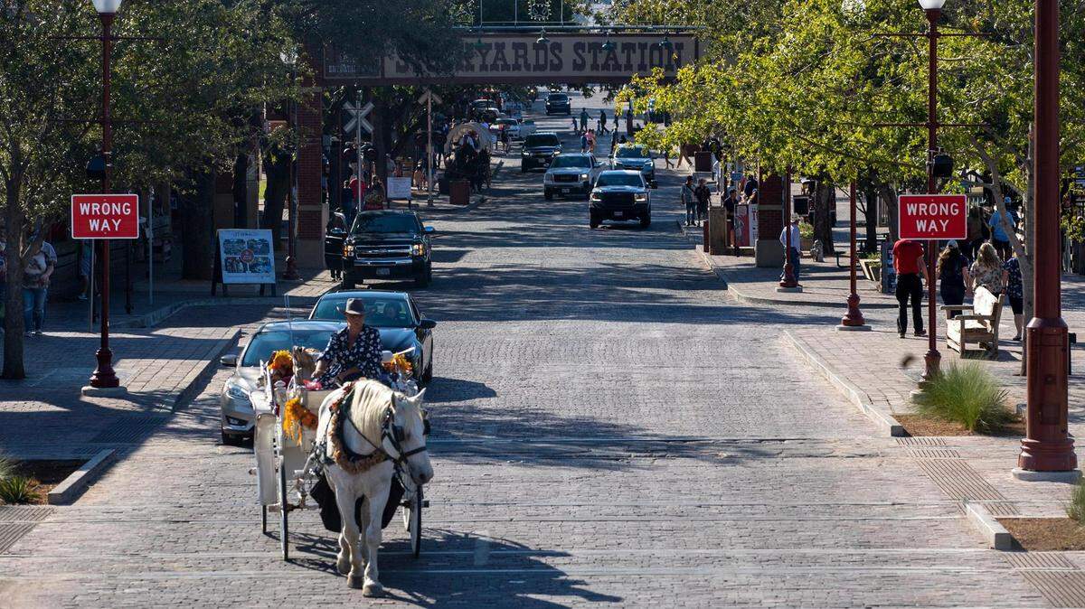A horse-drawn carriage rides through the Stockyards in October 2022.