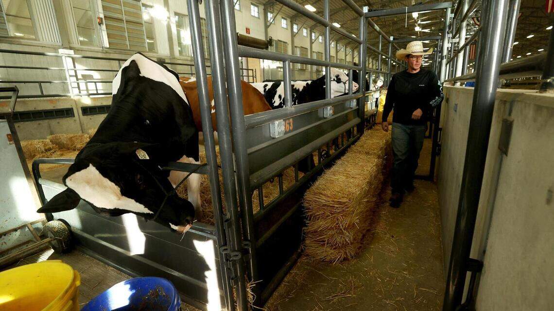 Here’s how a city girl can live out her farm life dreams at the Fort Worth Stock Show