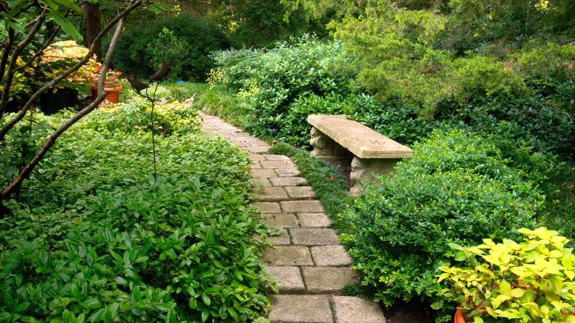 A homemade walkway made from do it yourself concrete stones adds a nice touch to this yard.