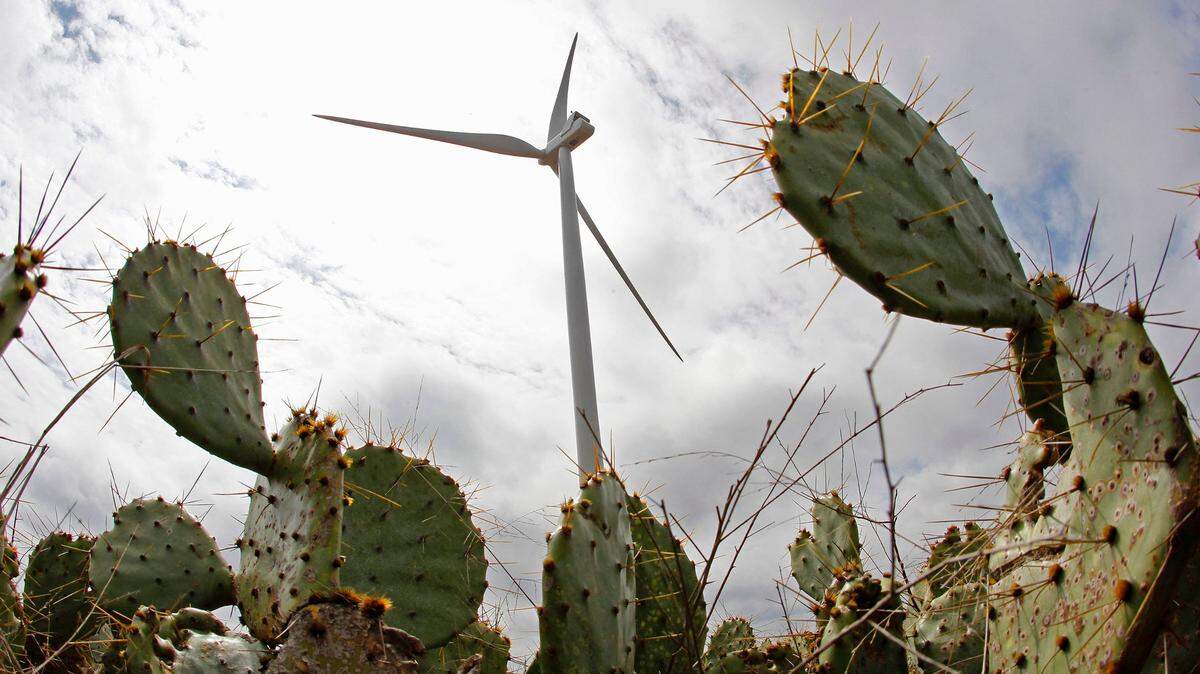 A turbine in Jacksboro on a wind farm owned by Enbridge Energy Company.