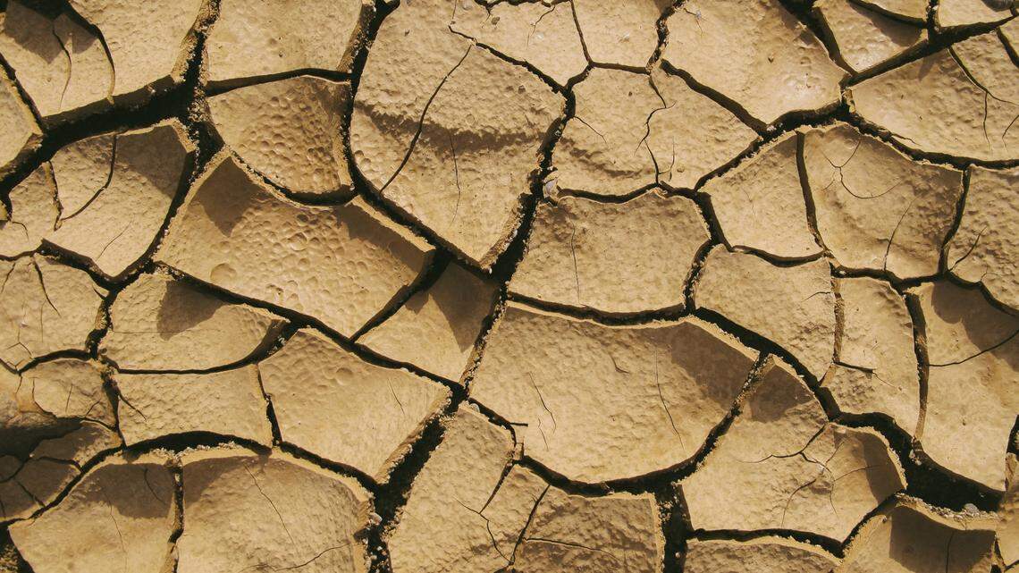 Dry and drought conditions
