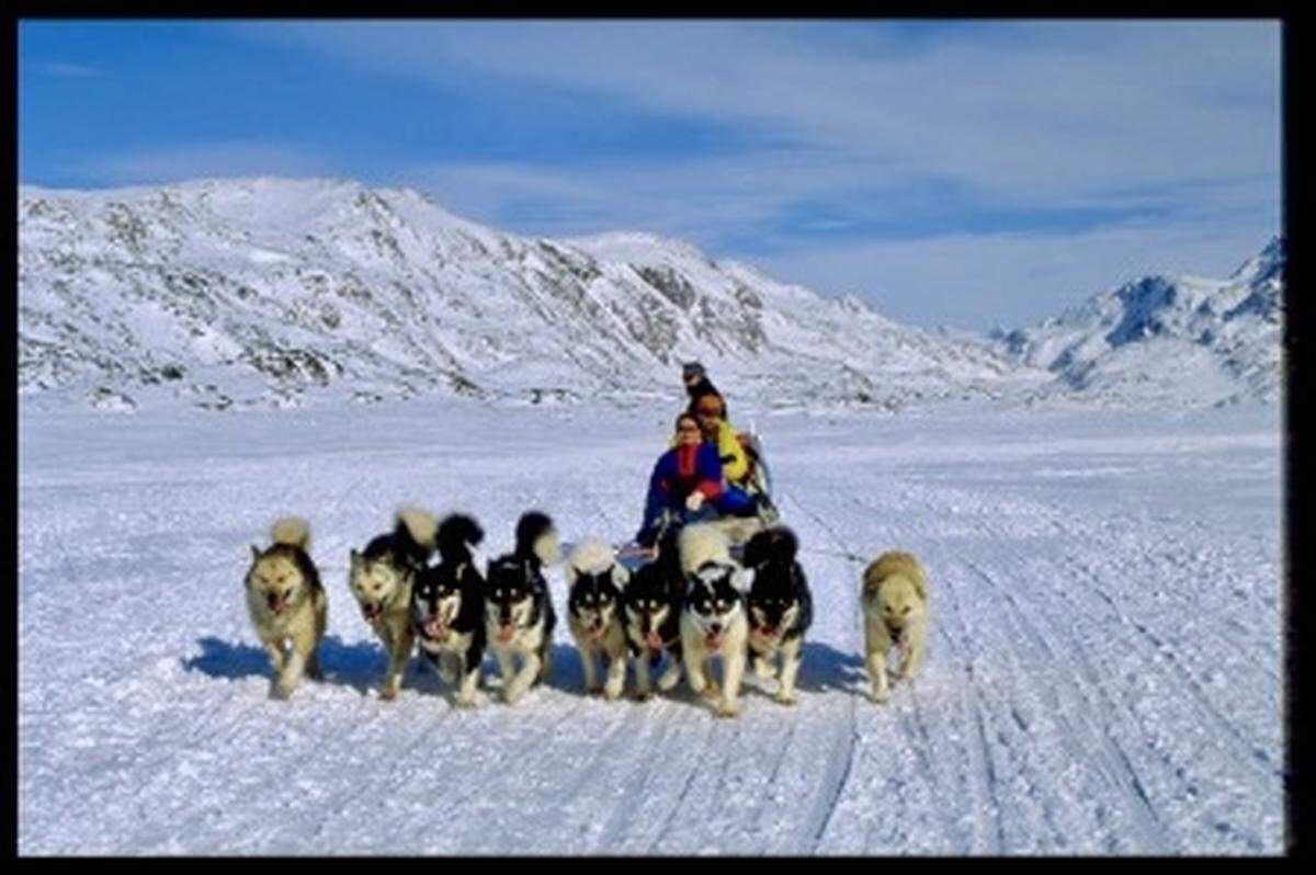 Dog sledding is a way of life in Greenland. Because of global warming, the sledding season has shortened and now is most reliable February-April.