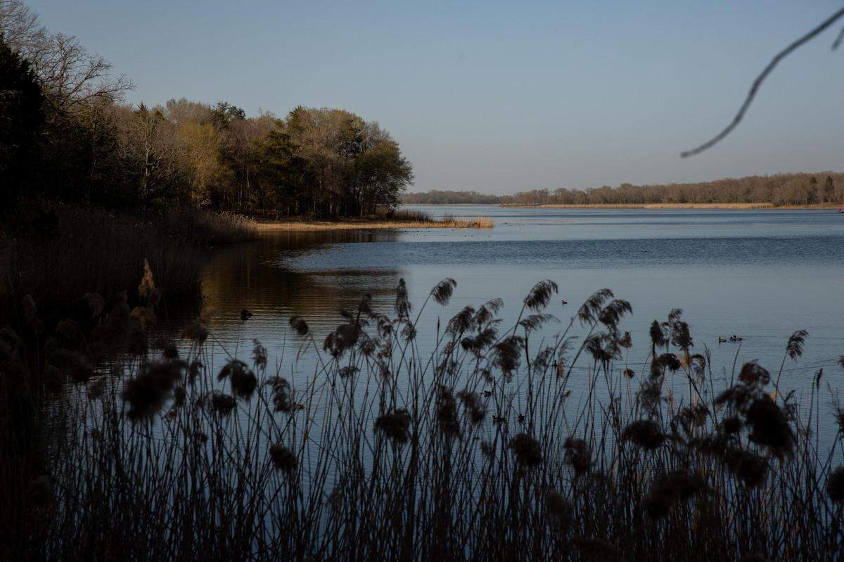 A view of Fairfield Lake at Fairfield Lake State Park on Feb. 27, 2023.