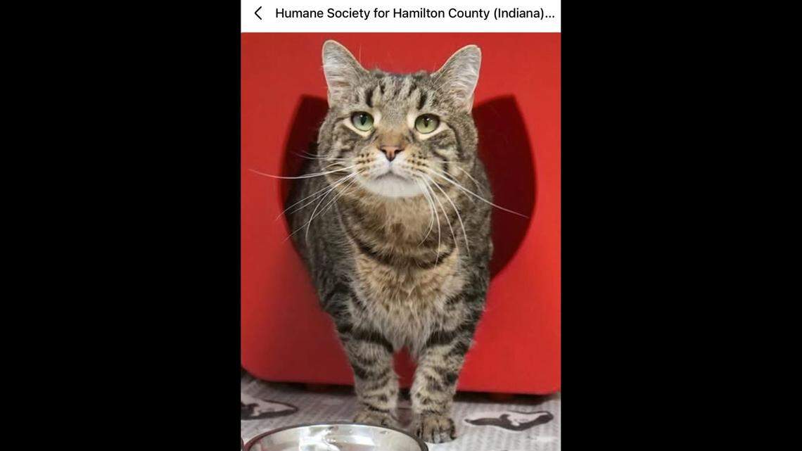 Loud noises still startle Marble, but she’s learning to relax.