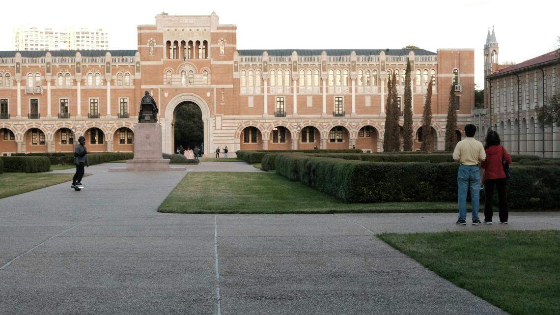 A new wasp species was discovered on Rice University’s campus in Houston.