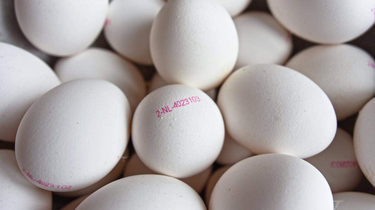 Eggs stock image.