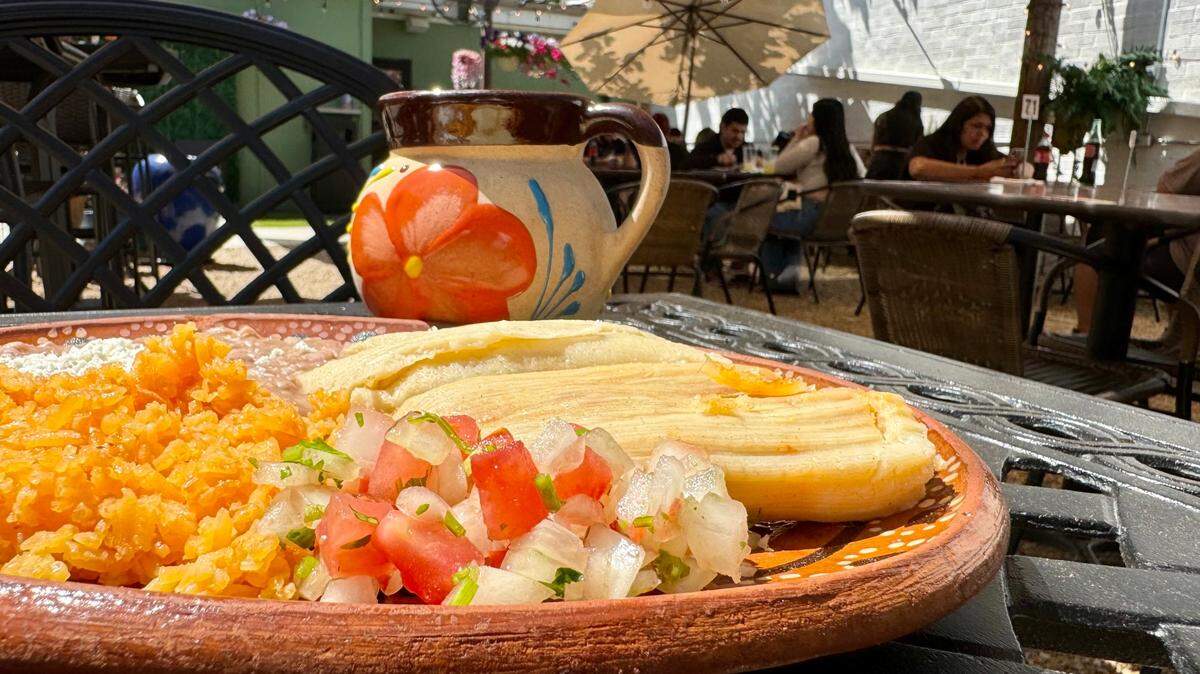Red and green chicken tamales with cafe de olla on the colorful patio at Tesoros Mexican, April 13, 2024 in Fort Worth.
