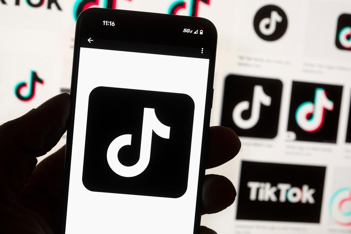 FILE - The TikTok logo is seen on a cell phone. (AP Photo/Michael Dwyer, File)
