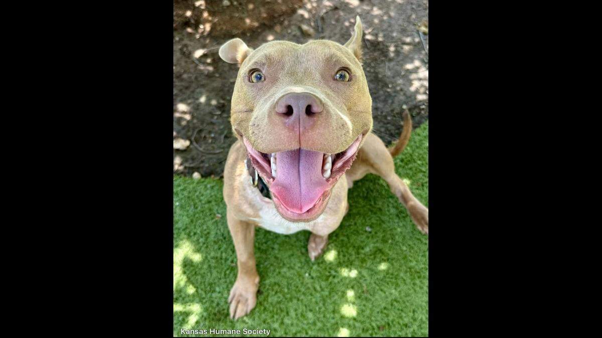 Ruger is all smiles