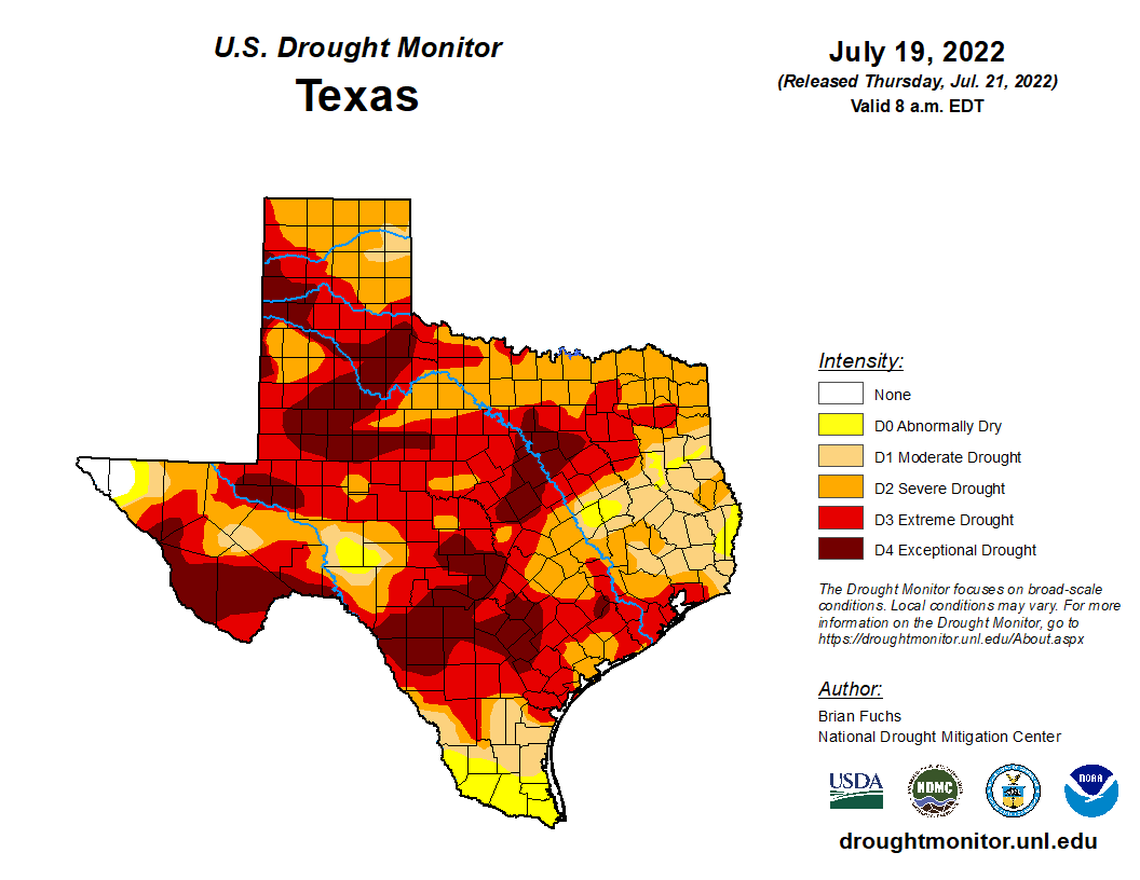 As of July 21, 95% of Texas was in drought conditions, affecting an estimated 22 million Texans, according to the U.S. Drought Monitor.