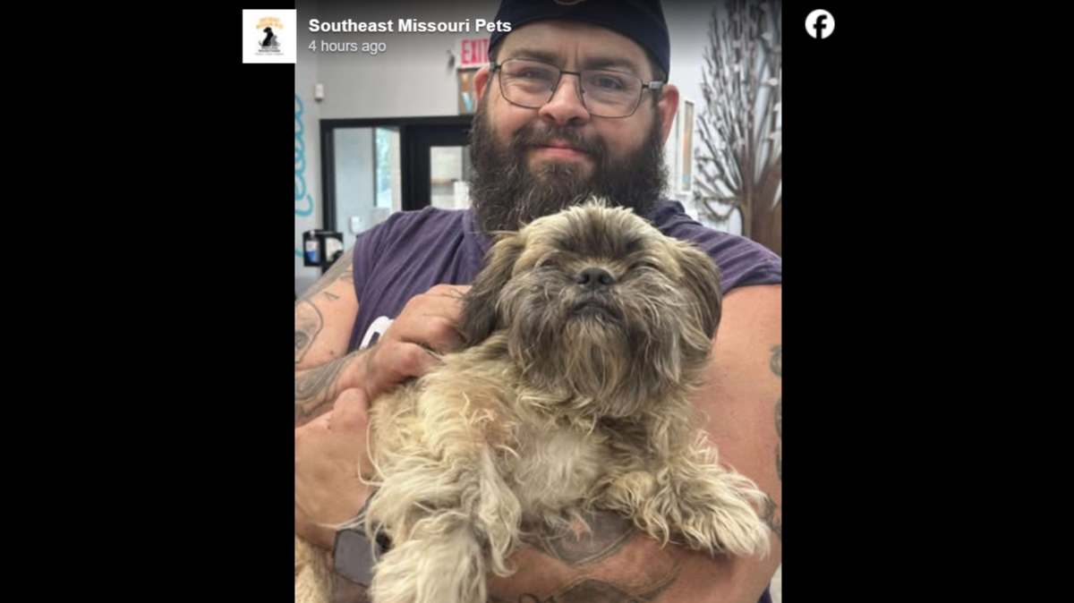 Bandit is back home after four years