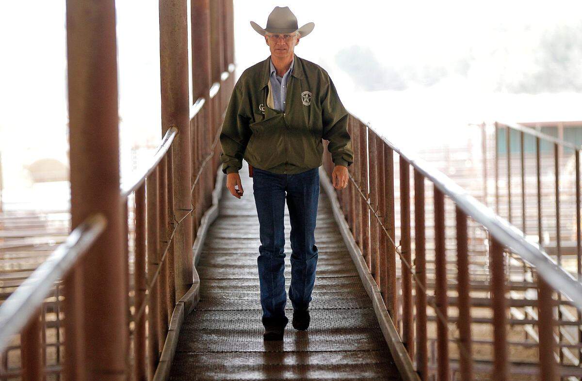 Special Ranger Wayne Goodman works from a catwalk at the Dublin Livestock Auction Friday March 14, 2014 in Dublin, Texas. Since 1877, special rangers with the Texas and Southwestern Cattleman’s Association have been a private, but fully state certified brand of lawman charged with solving crimes involving Texas’ cattle industry including cattle rusting.