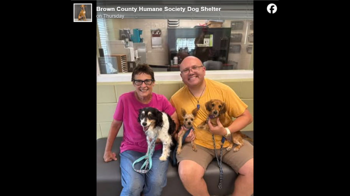 Tilly (dog on the left) and her new family