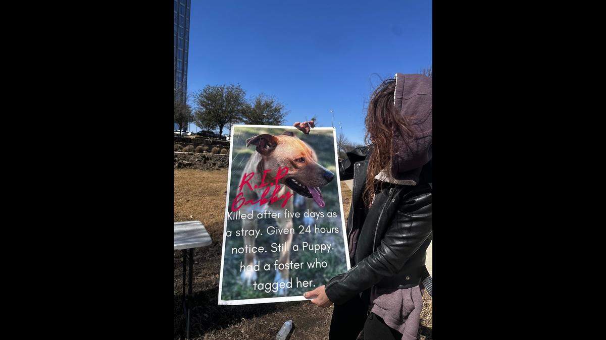Fallon Hill holds a poster with a photo of 9-month-old puppy Gabby, who she said was killed at the Fort Worth Animal Shelter.