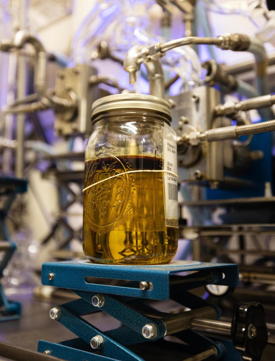 A jar of extracted cannabis oil at Goodblend in Austin on Thursday, May 1, 2025. The Texas Compassionate Use Program does not include inhalable products for patients so Goodblend extracts the oil from the marijuana plants to be used in products such as gummies.
