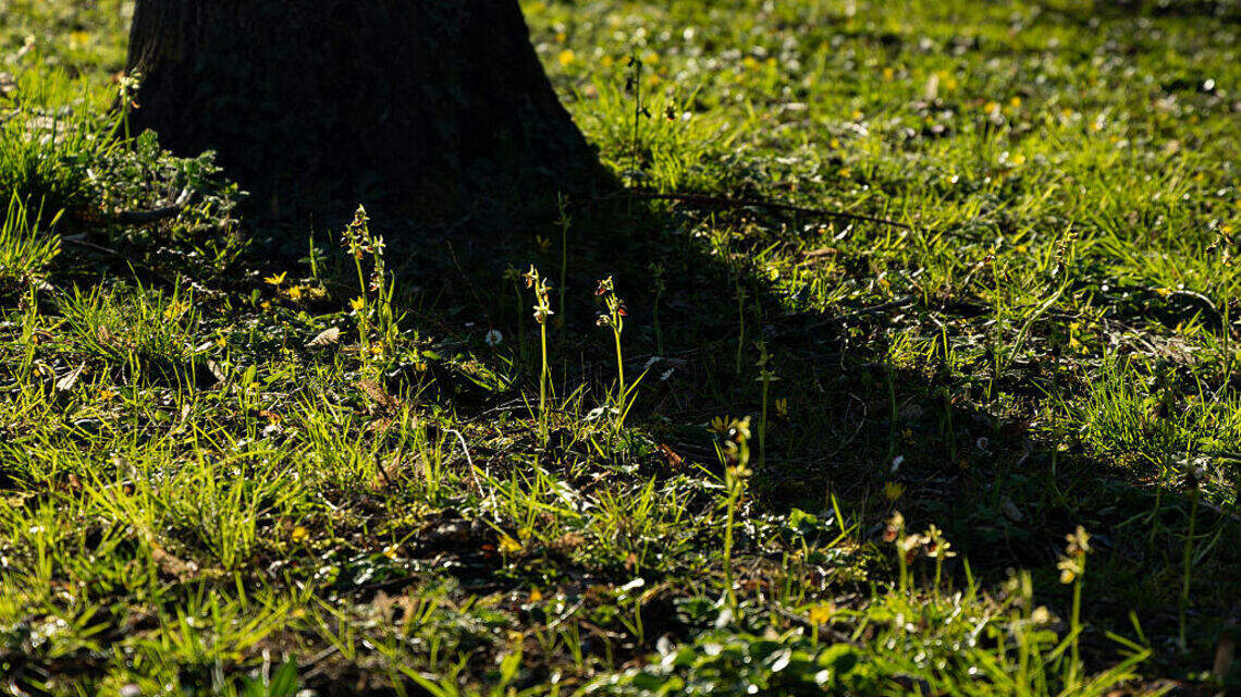 What is Grounding? How To Try This Simple Wellness Practice For Earth Day