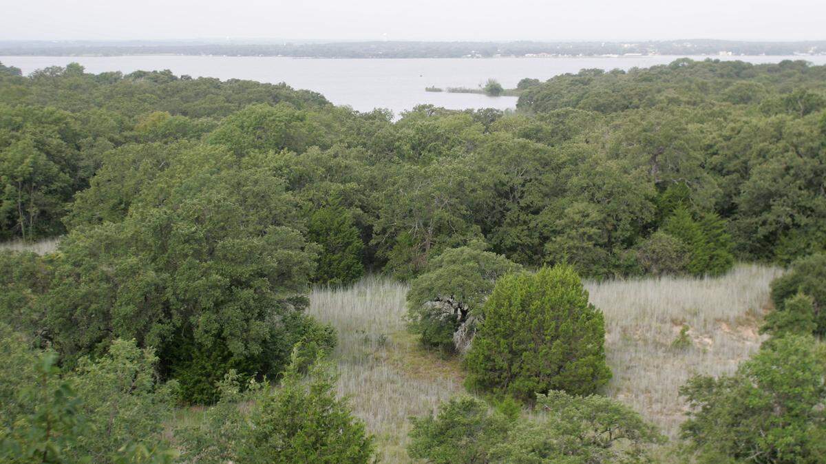 The Tarrant Regional Water District plans to use fire to clear out underbrush in Eagle Mountain Park. 