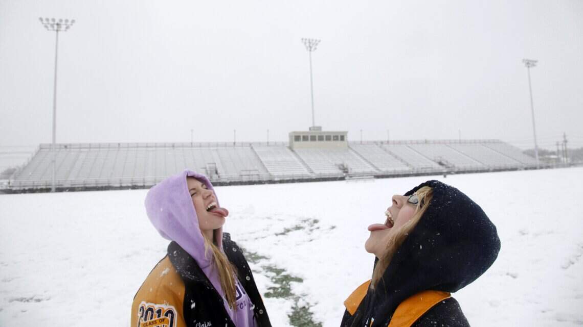 ‘Do birds get cold?’ What Texans are Googling during this winter storm