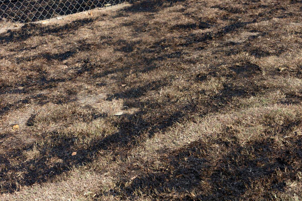 Scorched grass outside of a home that caught fire in Rendon, Texas, on Wednesday, July 27, 2022.