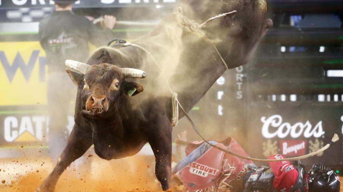 Brennon Eldred gets bucked from Copperpoint Swagger during the PBR World Finals, on November 12th, 2020, at the AT&T Stadium, Arlington, TX. (Photo by Chris Elise/Icon Sportswire) (Icon Sportswire via AP Images)