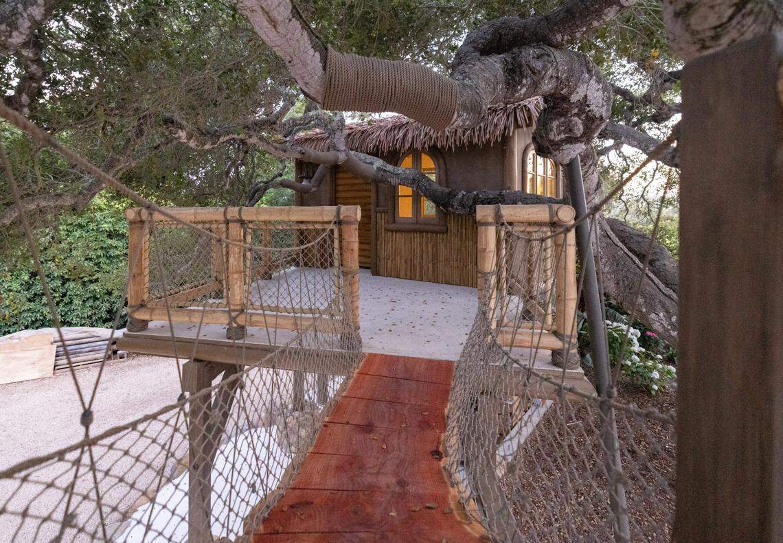 Treehouse