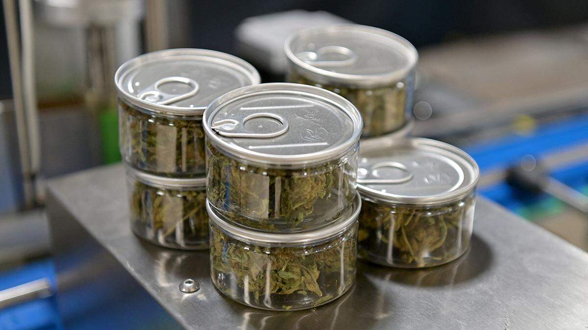 Hemp flower containers sit on a table at Empire Standard, a hemp extract processing and distribution plant, on April 13, 2021 in Binghamton, New York. - New York’s governor last month signed a law allowing its possession and use for adults aged 21 and older, and expanding its distribution for medical purposes.That allows companies like Empire Standard, which already are well-versed in cannabis cultivation for use in CBD, to now sell products with high concentrations of THC. (Photo by Angela Weiss / AFP) (Photo by ANGELA WEISS/AFP via Getty Images)
