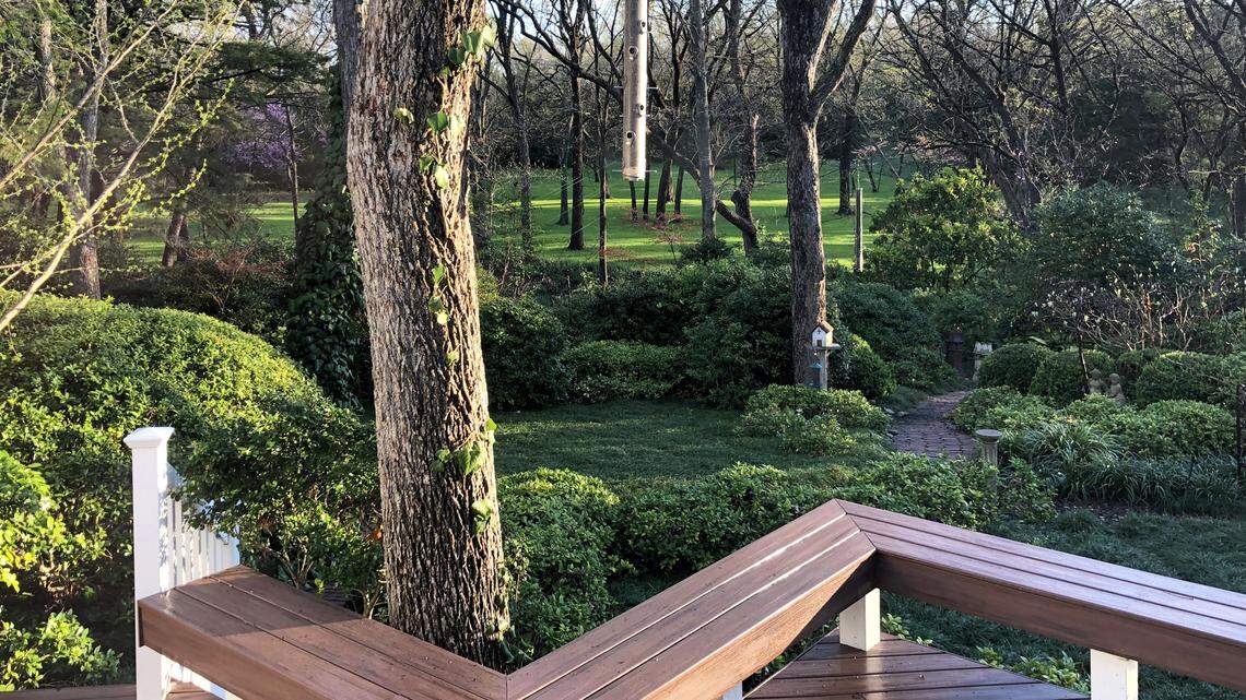 These steps will improve your chances for success in your North Texas garden