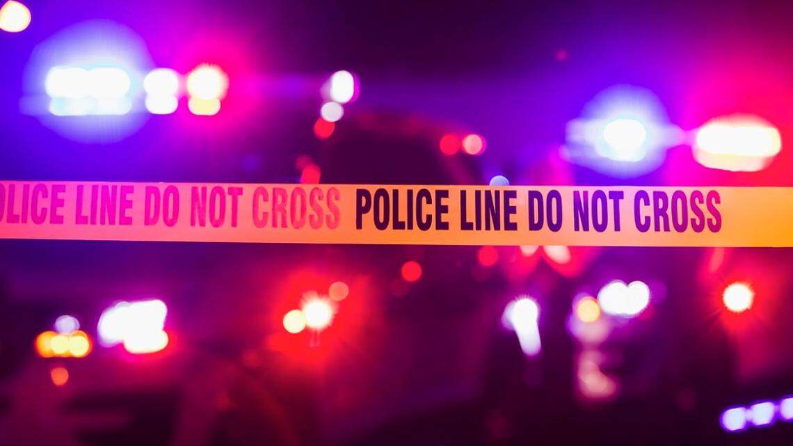 A man died early Monday on a freeway in Fort Worth when he was struck by a vehicle driven by a civilian and a cruiser driven by a police officer after it appeared the pedestrian intentionally placed himself in their path, police said.