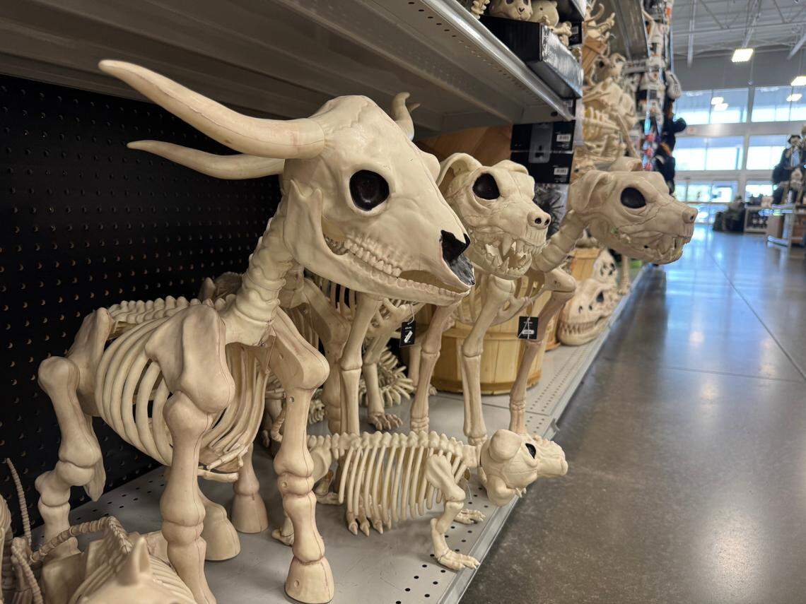 Halloween decorations at the At Home store in far north Fort Worth on Friday, July 11, 2025. The retailer rolled out Halloween merchandise in late June.