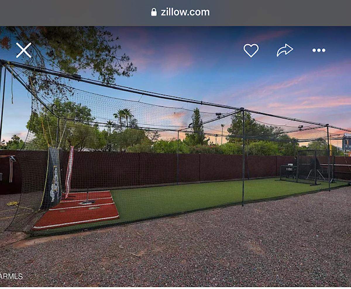 Batting cage