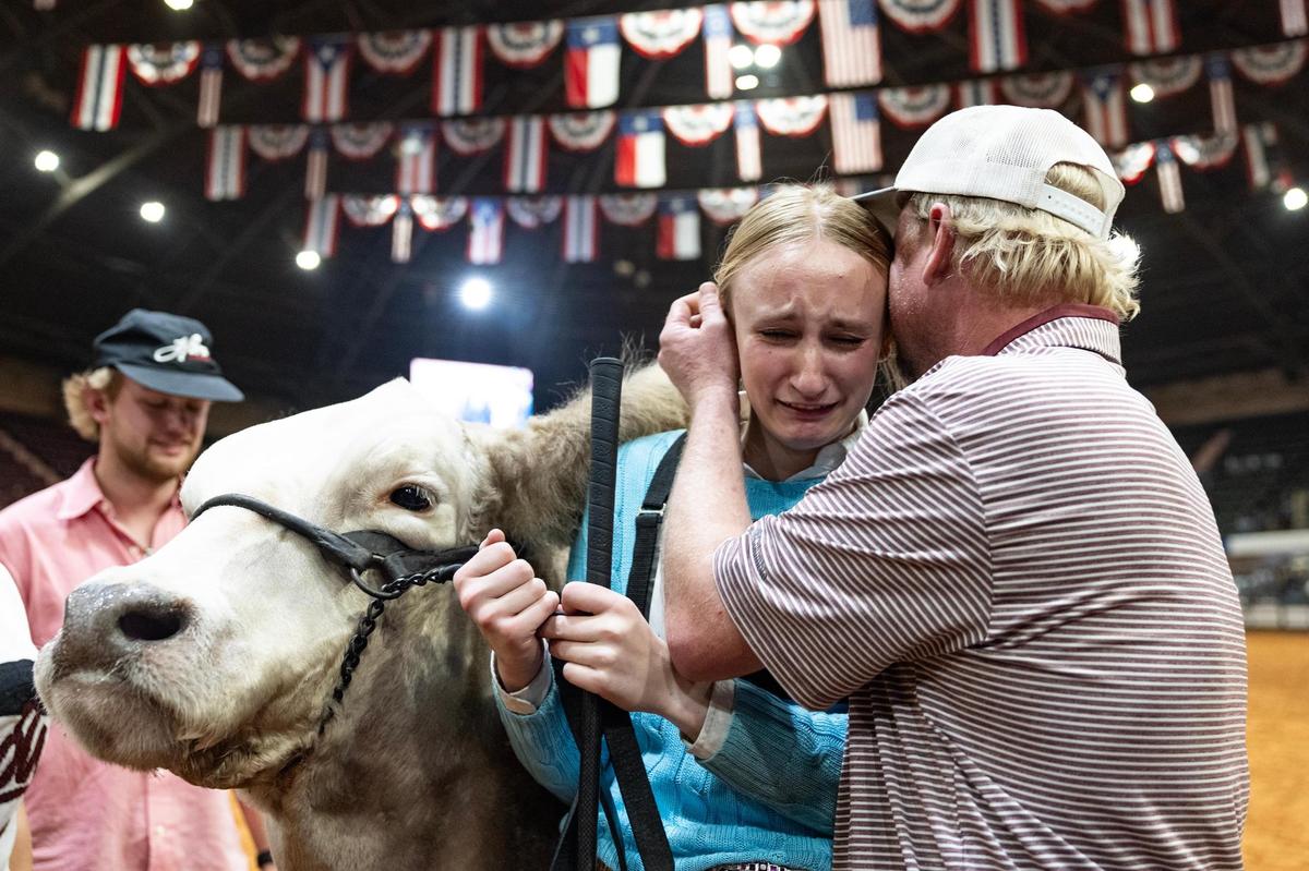 La Vernia resident Mattison Koepp, 16, is embraced by her father Matt after her steer won Grand Champion Steer of the Show at the Fort Worth Stock Show & Rodeo on Friday, Feb. 7, 2025. Koepp took home the Reserve champion award in last year’s event.