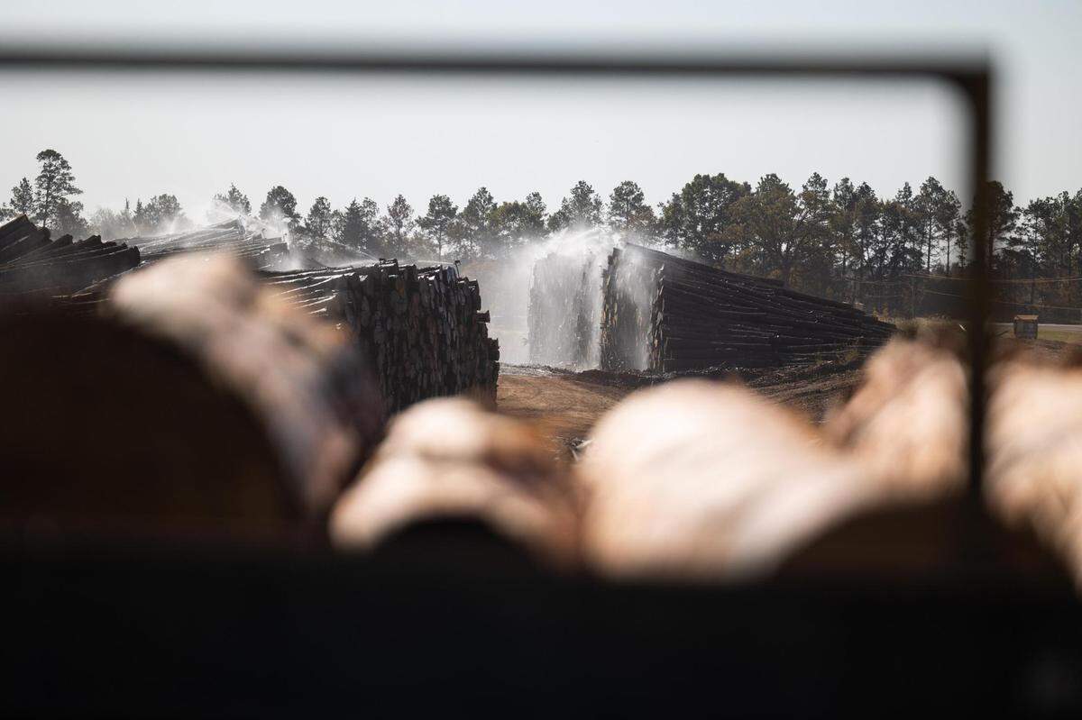 Wood is cut in the process of making planks Oct. 19, 2022, at Ward Timber in Linden. Production at the mill would be heavily impacted if bottomland woods are flooded for the Marvin Nichols Reservoir project.