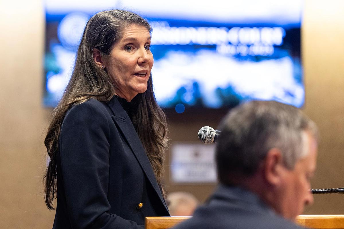 Ann Zadeh, the former Fort Worth City Councilwoman for District 9, speaks to the Tarrant County Commissioners regarding the proposed redistricting of the county during a Commissioners Court Meeting at the Tarrant County Administration Building in Fort Worth on Tuesday, May 6, 2025.