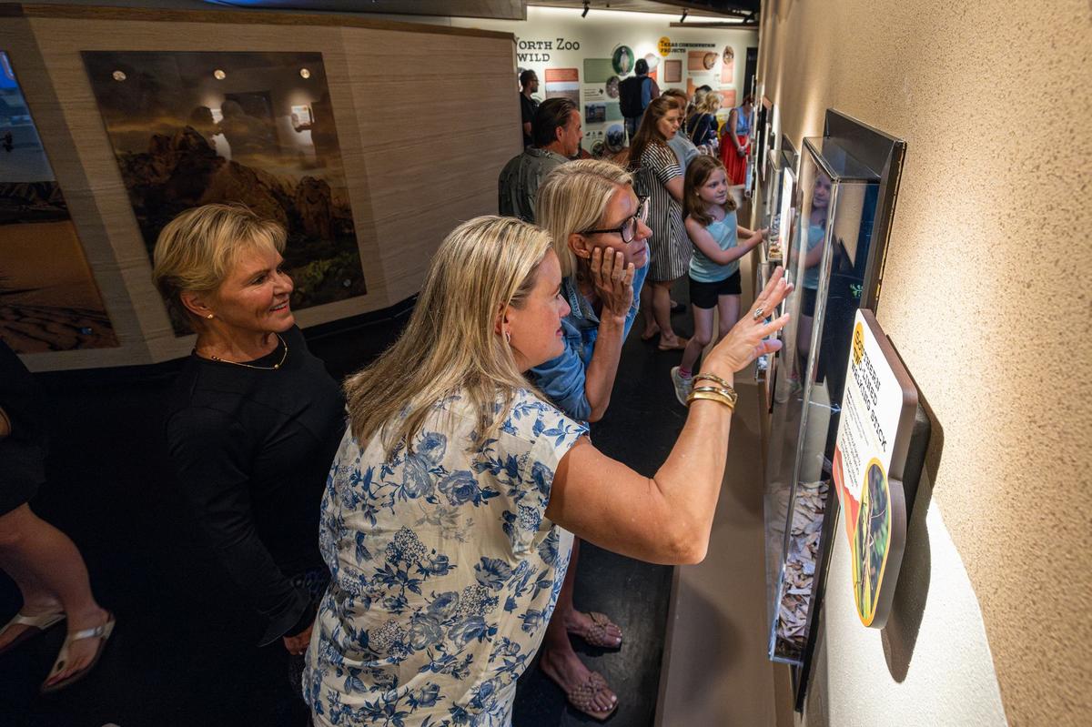 Event attendees gather around the new animal exhibits during a media event for the grand reopening of the reimagined Mountains & Desert exhibit in the Fort Worth Zoo on Thursday. The new exhibit is home to more than 30 native Texas reptiles and amphibians.