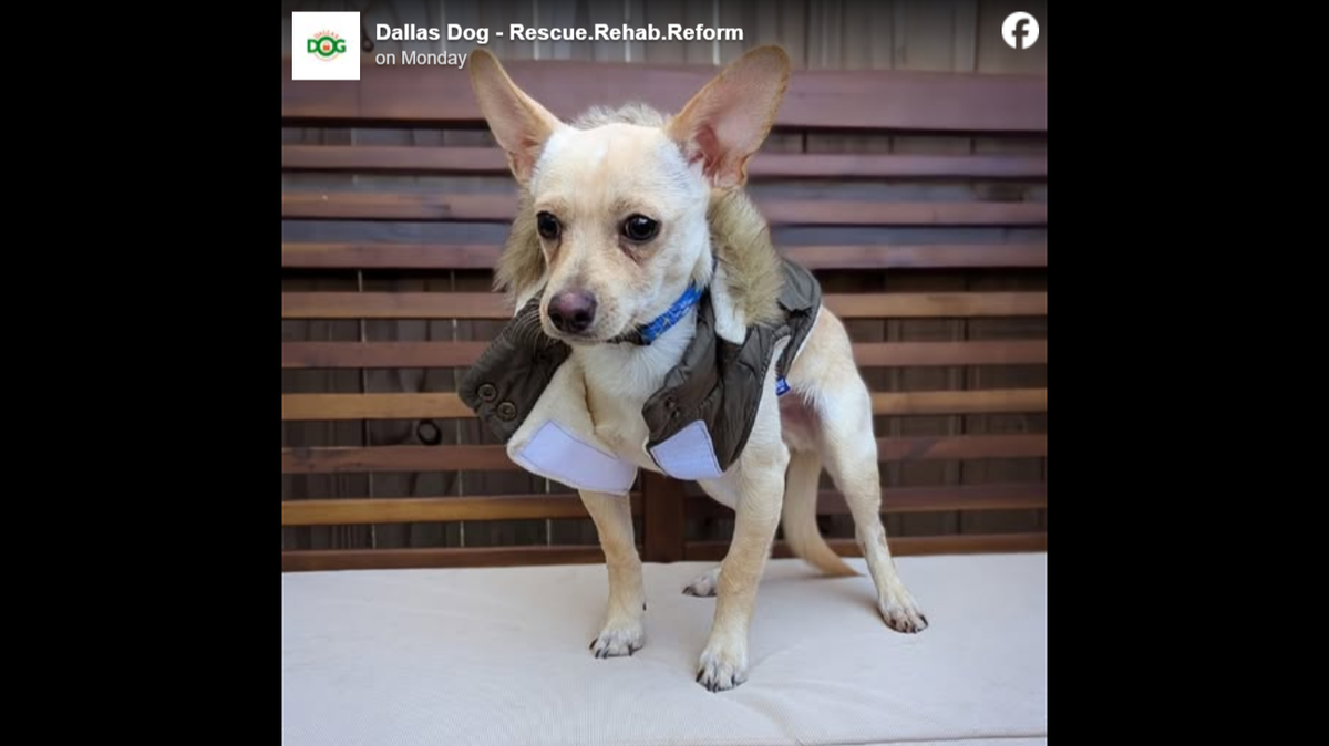 C’mon, look how cute. 